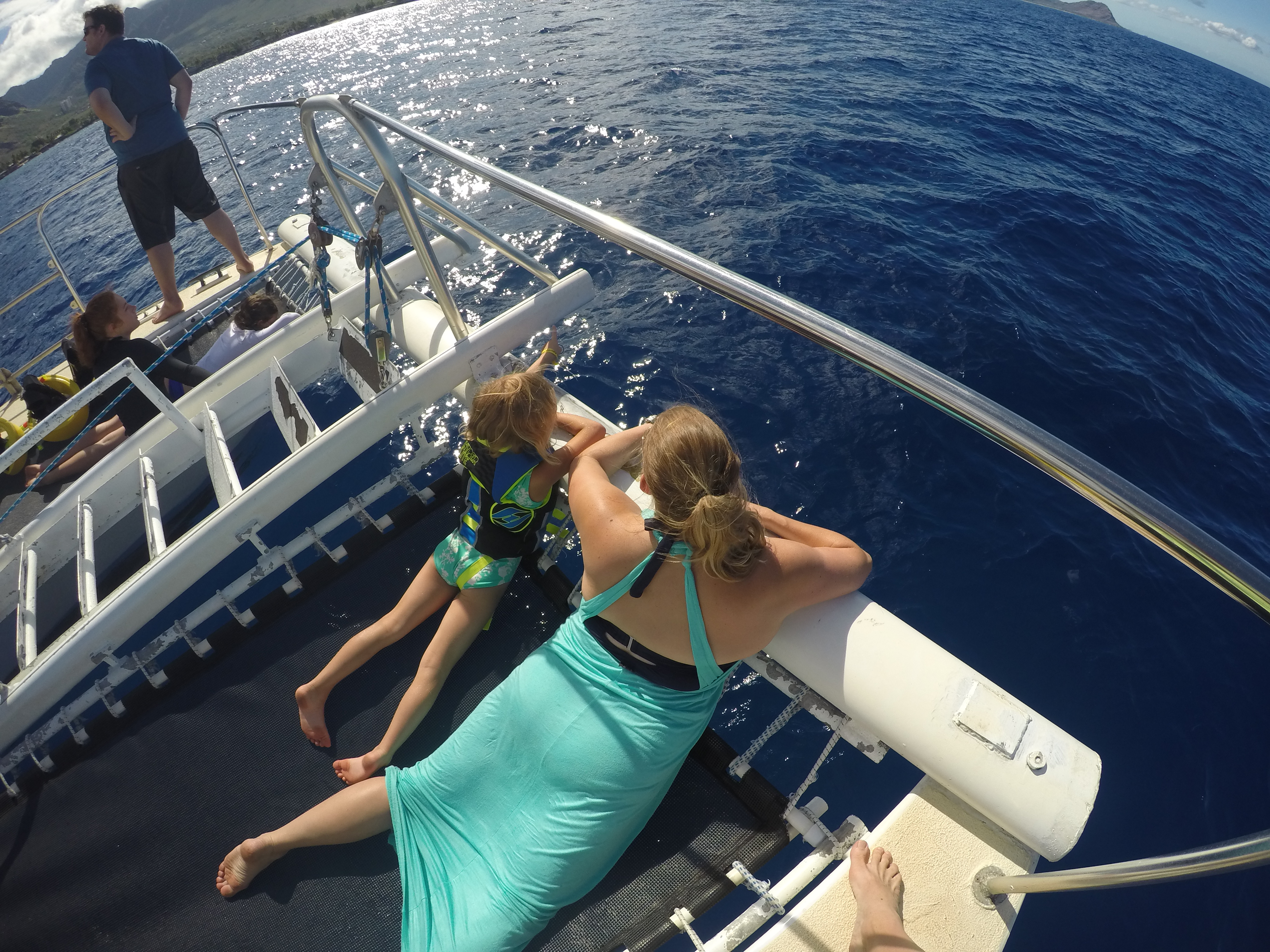 hawaii dolphin cruise